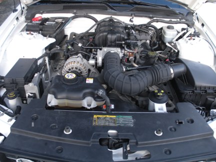 Mustang Car