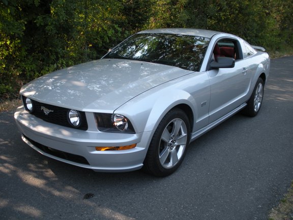 Mustangs For Sale