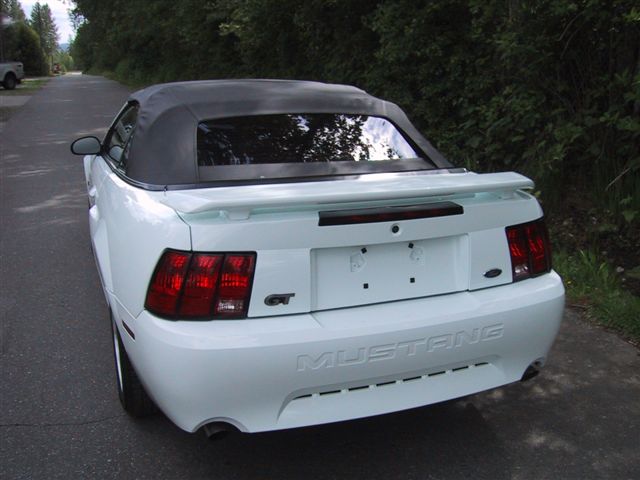 Mustang Car