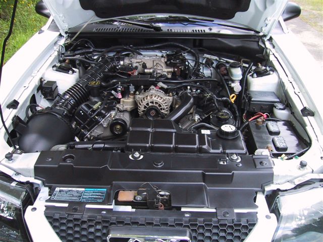 Mustang Car