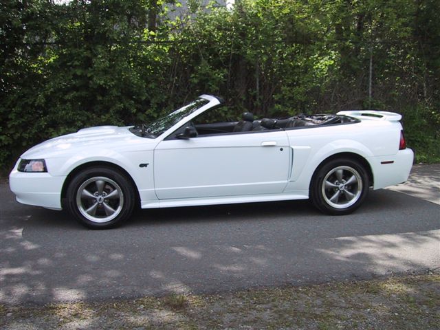 Mustang Car