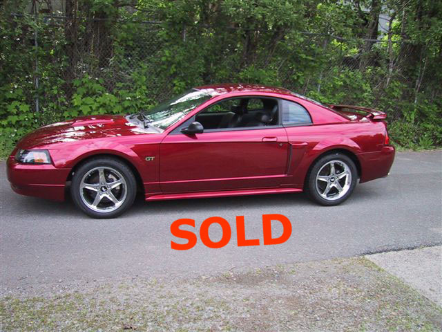Mustang Car