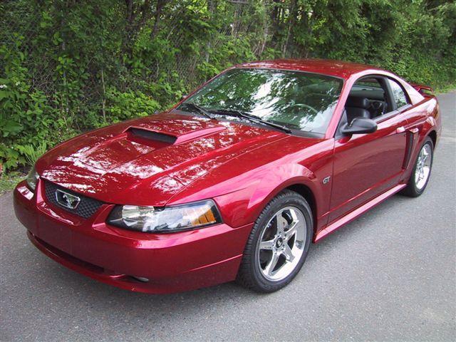 Mustang Car