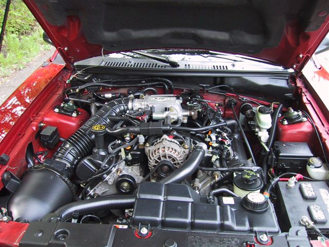 Mustang Car