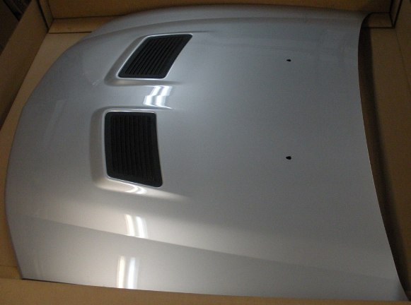 Mustang Parts - Head light