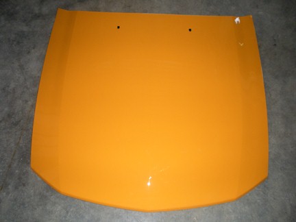 Mustang Parts - Hood